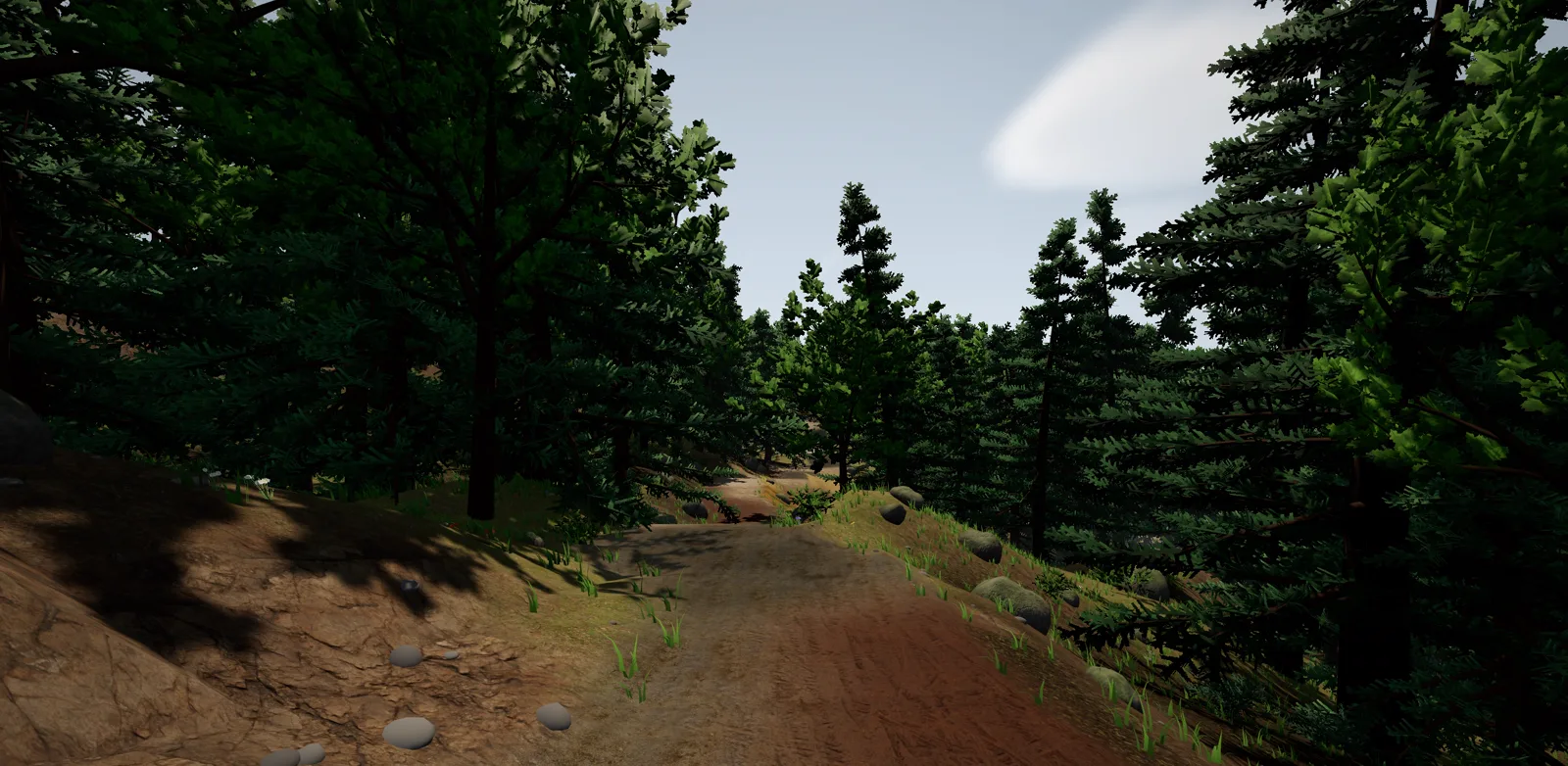 A gravel road running straight through a pine forest, a cutting on the left and an embankment falling away on the right.
