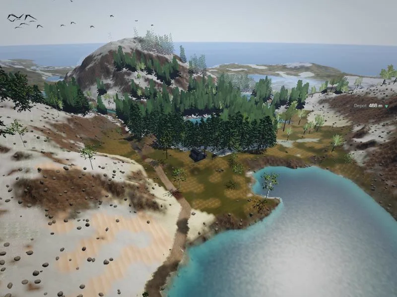 Birds crossing the sky above a forested headland, the lake below.